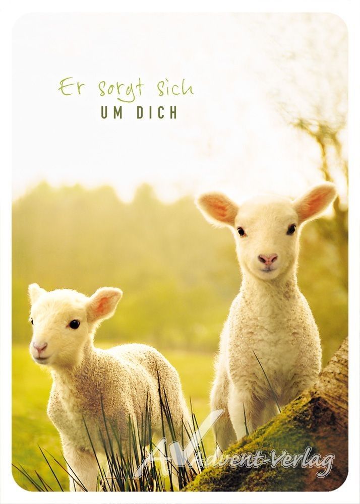 Er sorgt sich um Dich