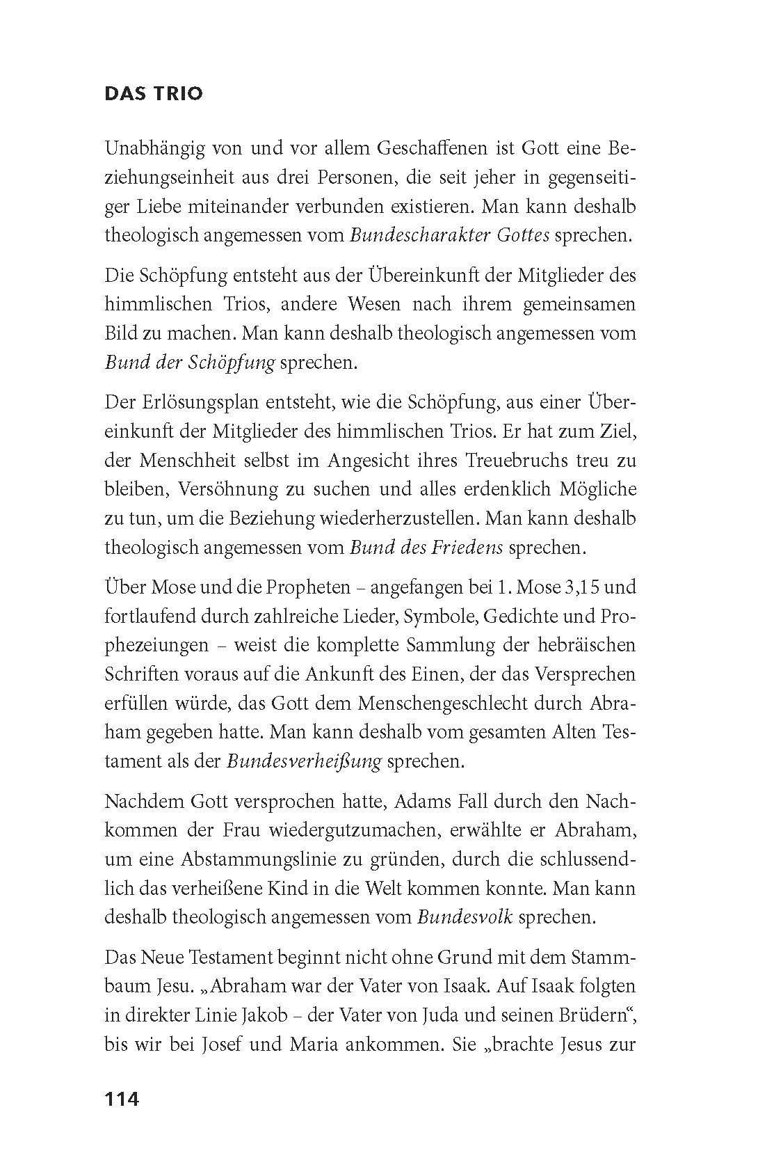 Advent-Verlag GmbH-Das Trio_2422199_