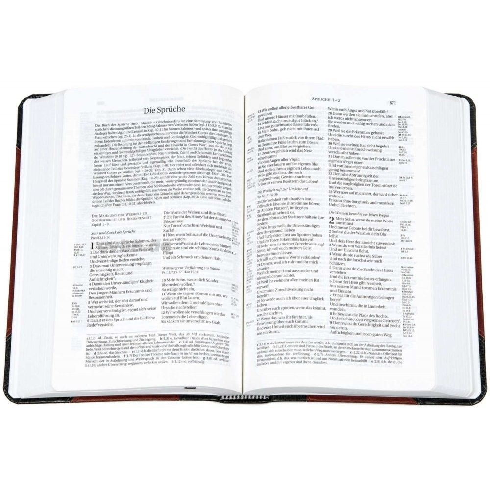 CLV Christliche Literatur-Verbreitung-Bibel, Schlachter 2000, Taschen, grau-braun_2941131_