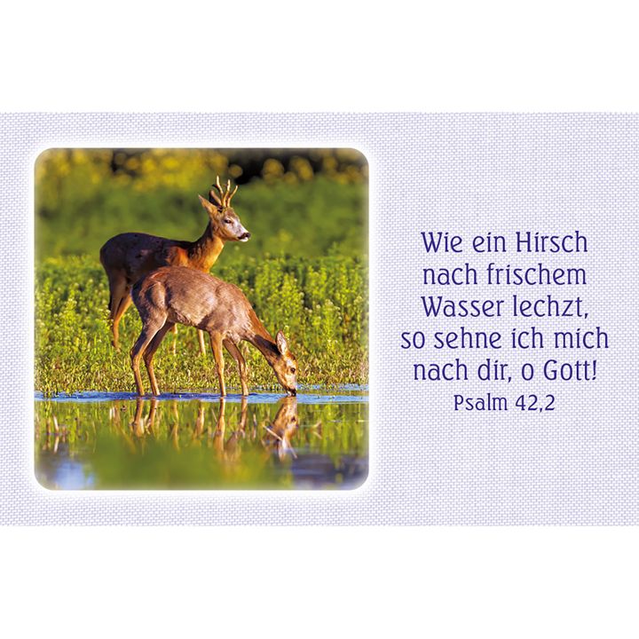 Kawohl Verlag-62 Psalm-Gebete_4743066_3 Kawohl Verlag-62 Psalm-Gebete_4743066_
