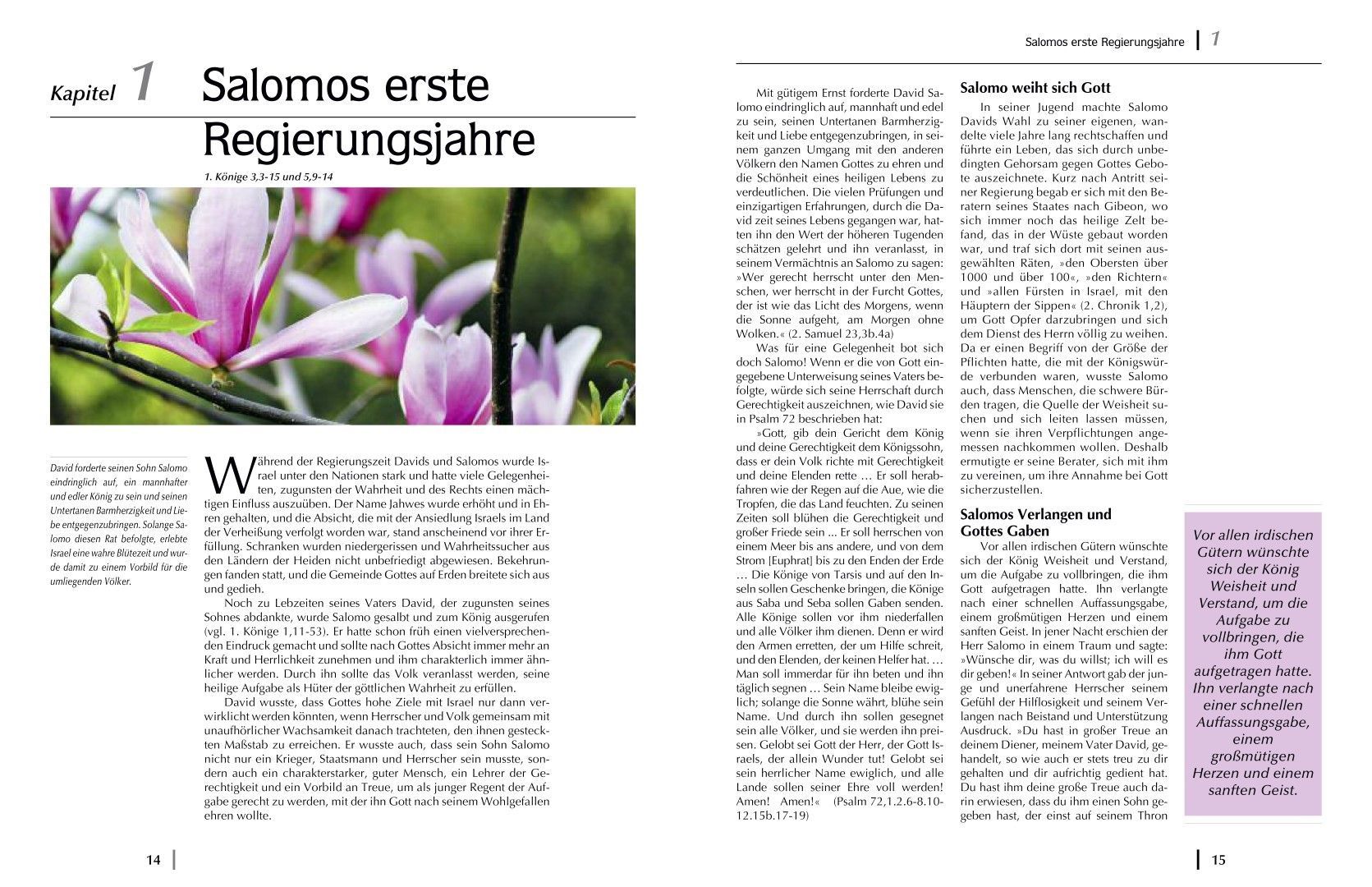 Advent-Verlag Schweiz-Macht und Ohnmacht, Premium_2210224_