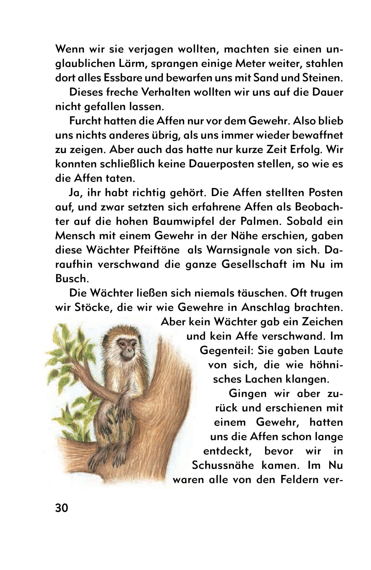 Advent-Verlag Schweiz-Meine Geschichtenkiste, Band 2_2210232_