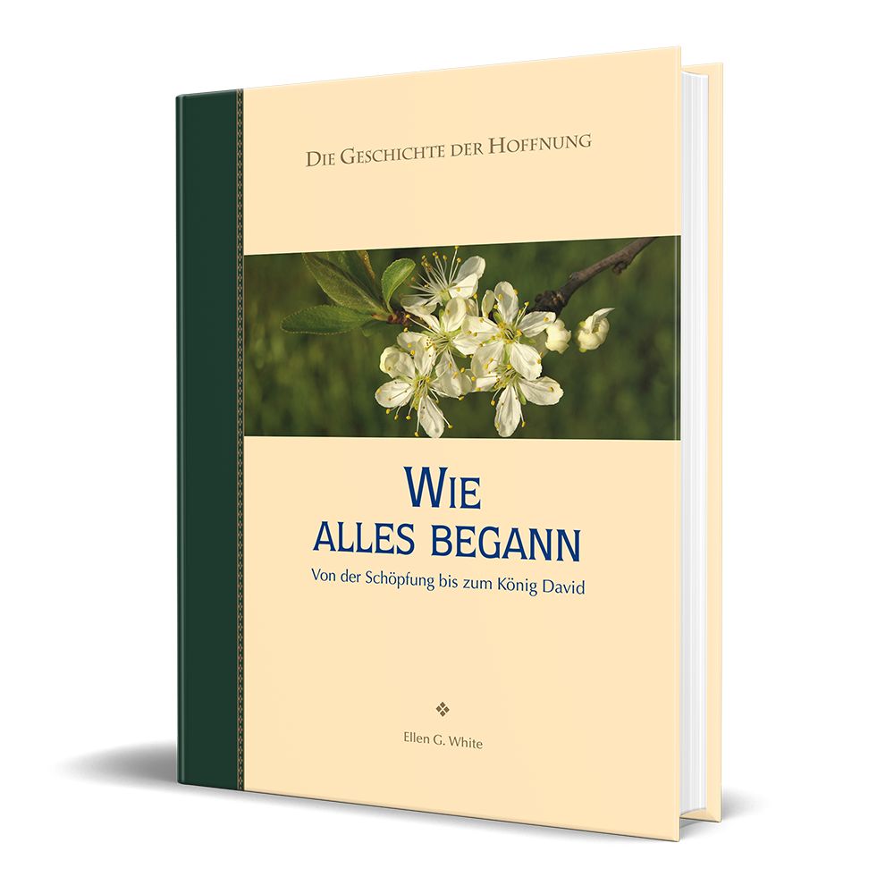 Advent-Verlag Schweiz-Wie alles begann, Premium_2210384_1 Advent-Verlag Schweiz-Wie alles begann, Premium_2210384_
