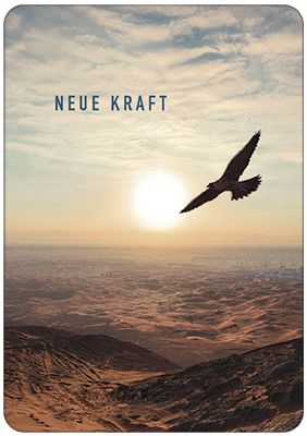 4942679_0.jpg Neue Kraft