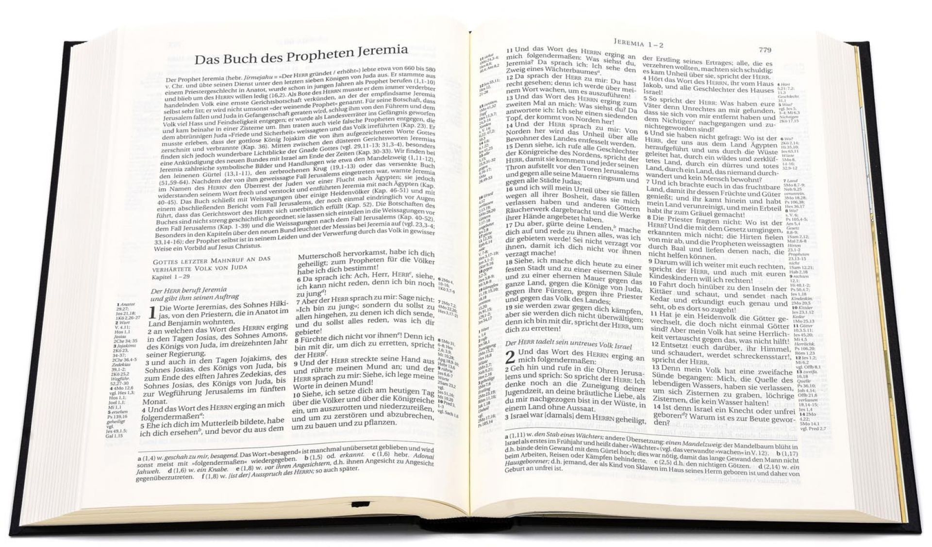 Société Biblique de Genève-Bibel, Schlachter 2000, Standard, Fibroleder, weinrot, Goldschnitt_2943047_