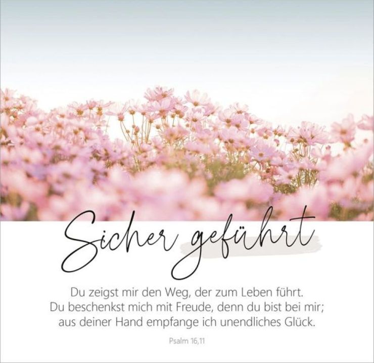 Gerth Medien-Wunderbar gemacht - Aufstellbuch_2942769_