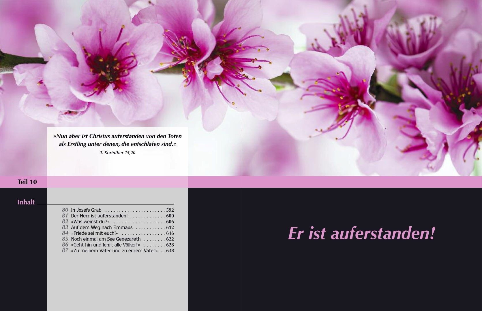 Advent-Verlag Schweiz-Der Sieg der Liebe, Premium_2210082_