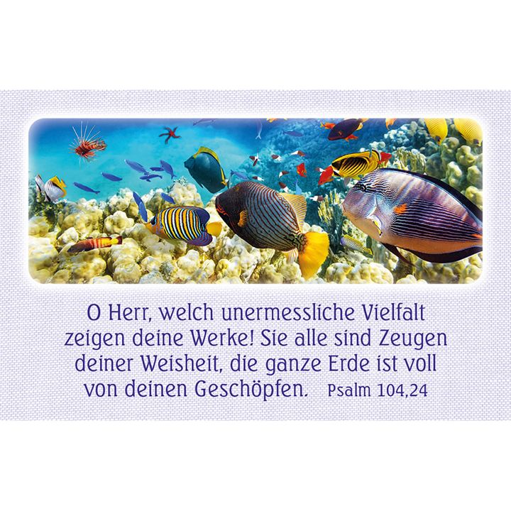 Kawohl Verlag-62 Psalm-Gebete_4743066_5 Kawohl Verlag-62 Psalm-Gebete_4743066_