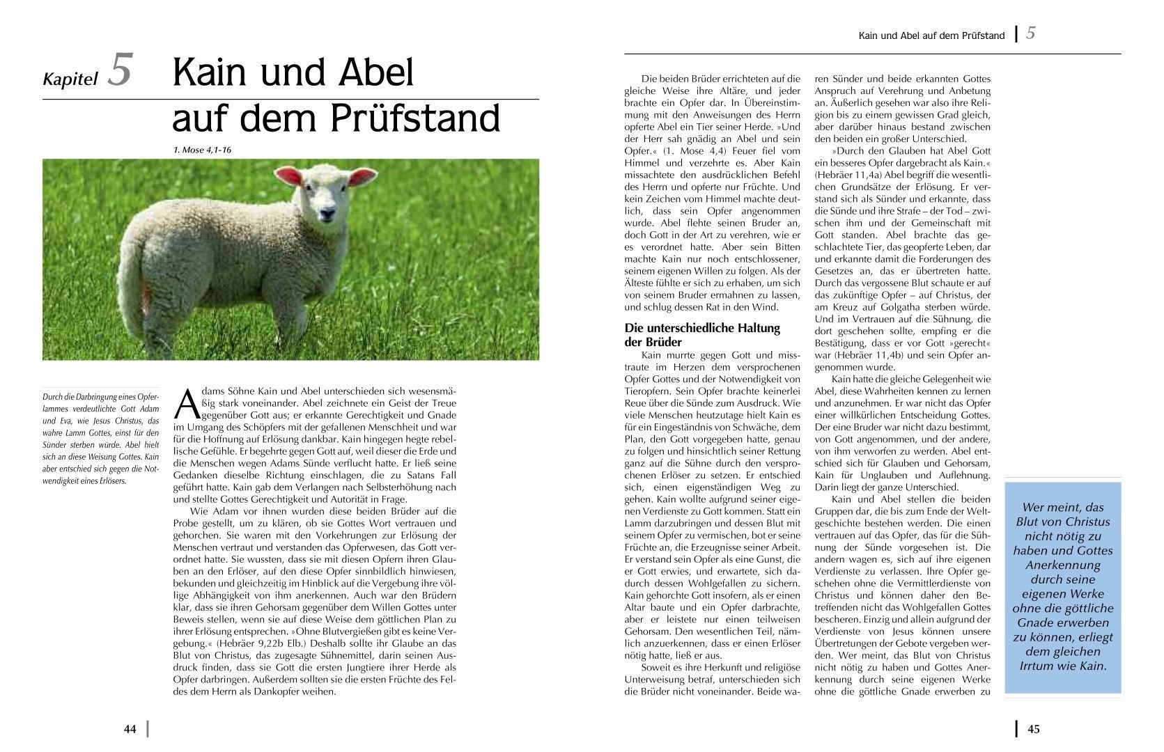 Advent-Verlag Schweiz-Wie alles begann, Premium_2210384_8 Advent-Verlag Schweiz-Wie alles begann, Premium_2210384_