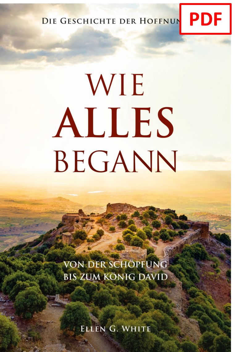 Advent-Verlag Schweiz-Wie alles begann - digitale Version (PDF)_2413008_2 Advent-Verlag Schweiz-Wie alles begann - digitale Version (PDF)_2413008_