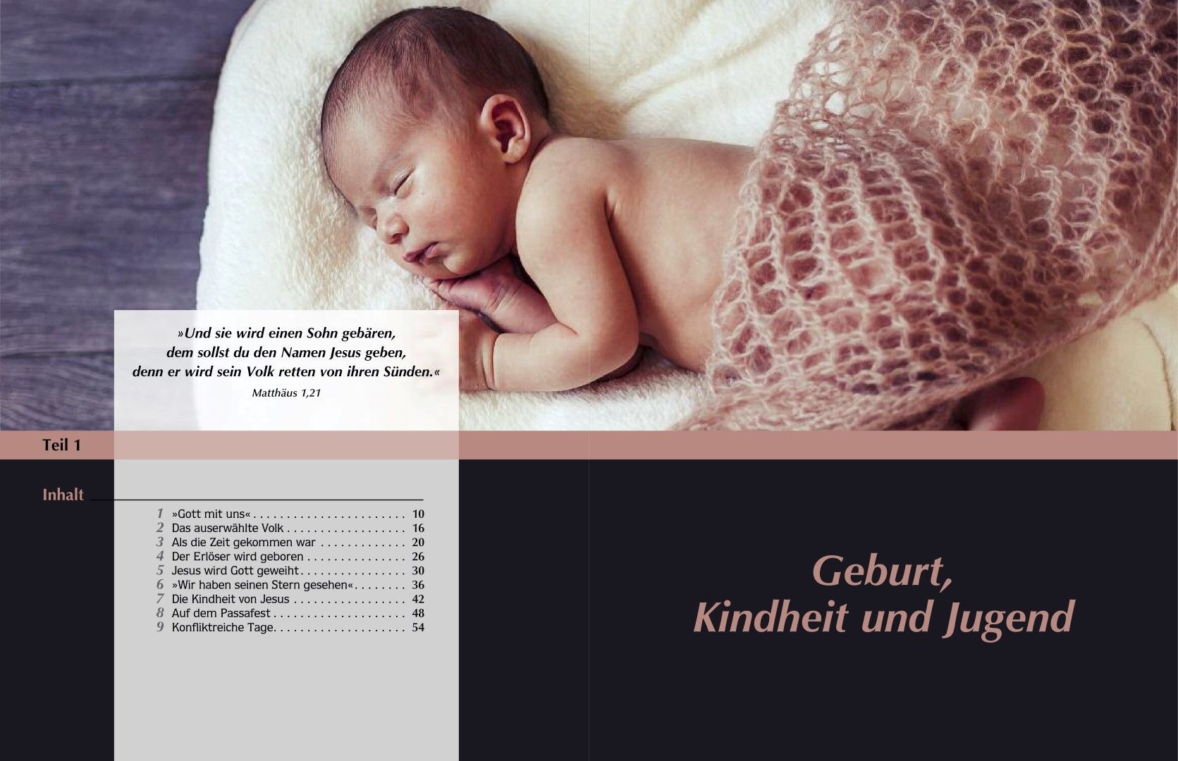 Advent-Verlag Schweiz-E-Serie: Die Geschichte der Hoffnung, Premium_2210113_