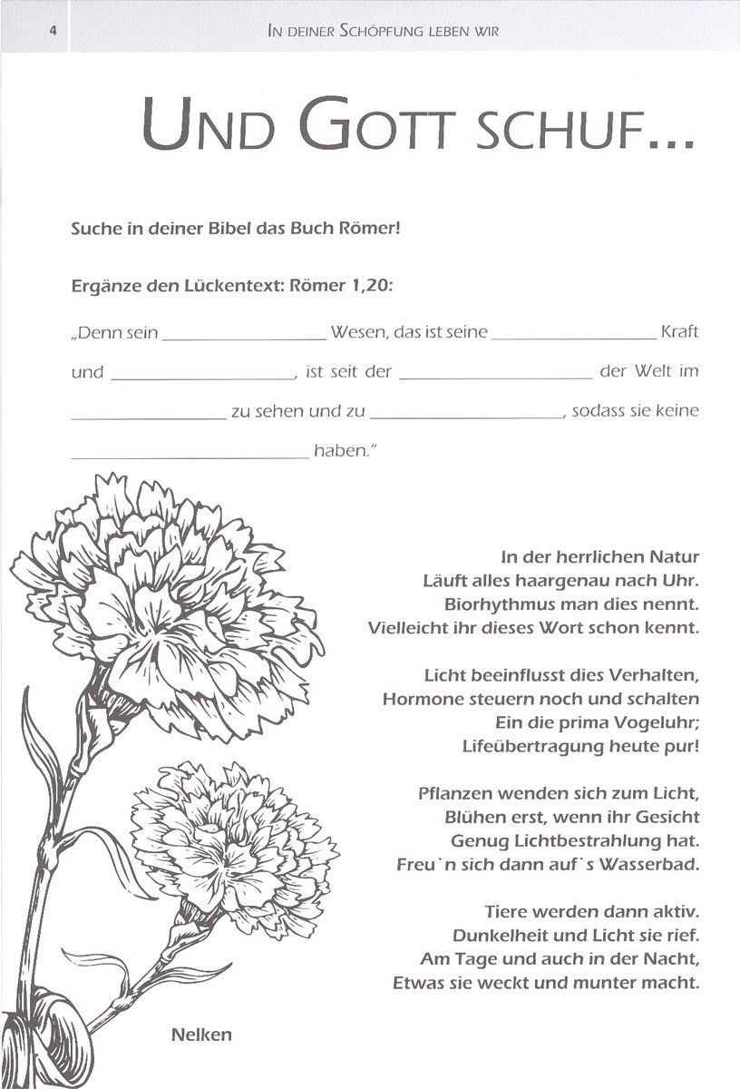 Naturkost-Aumühle-Wunderbare Schöpfung_2440821_