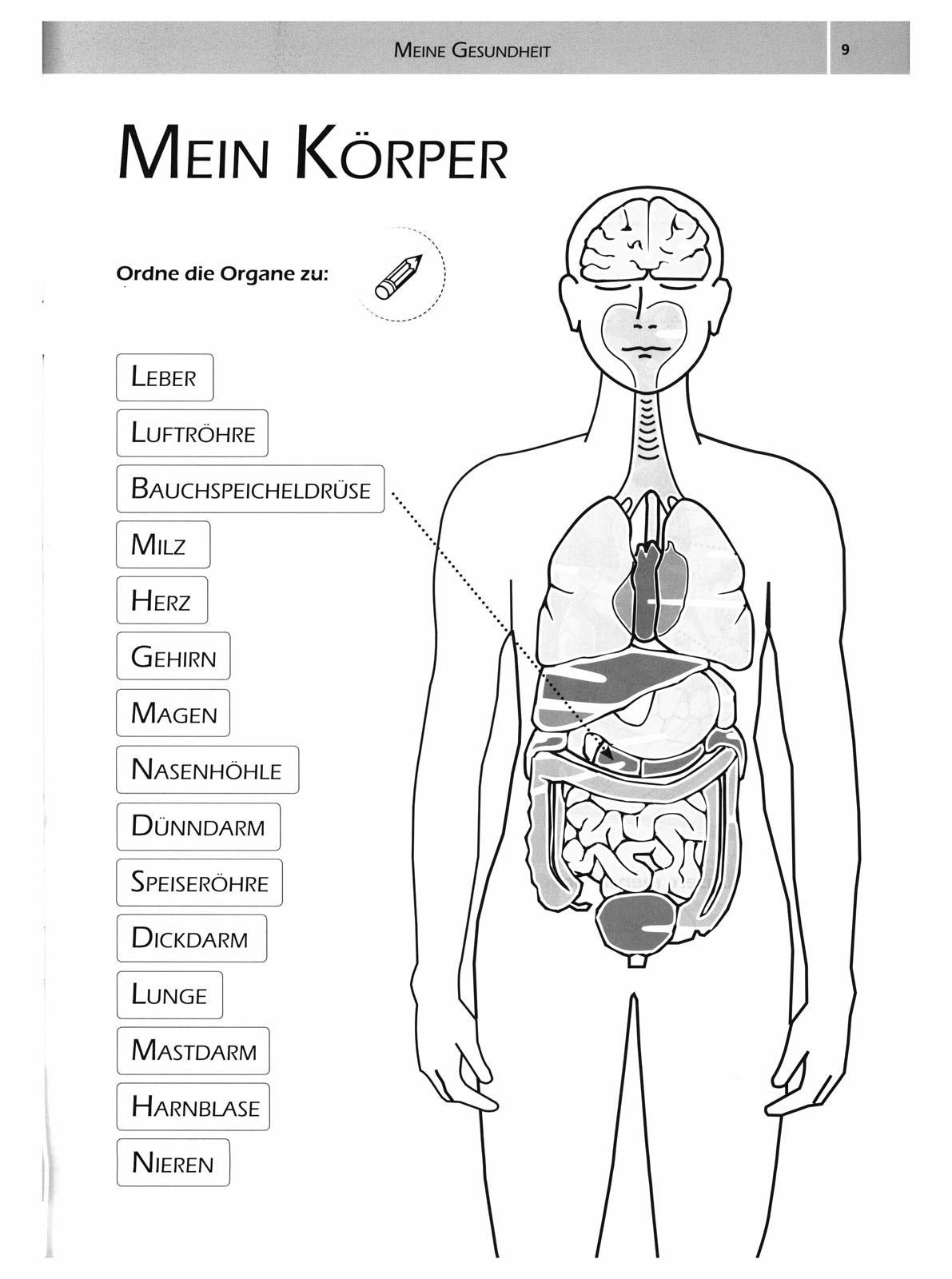Naturkost-Aumühle-Meine Gesundheit_2440820_