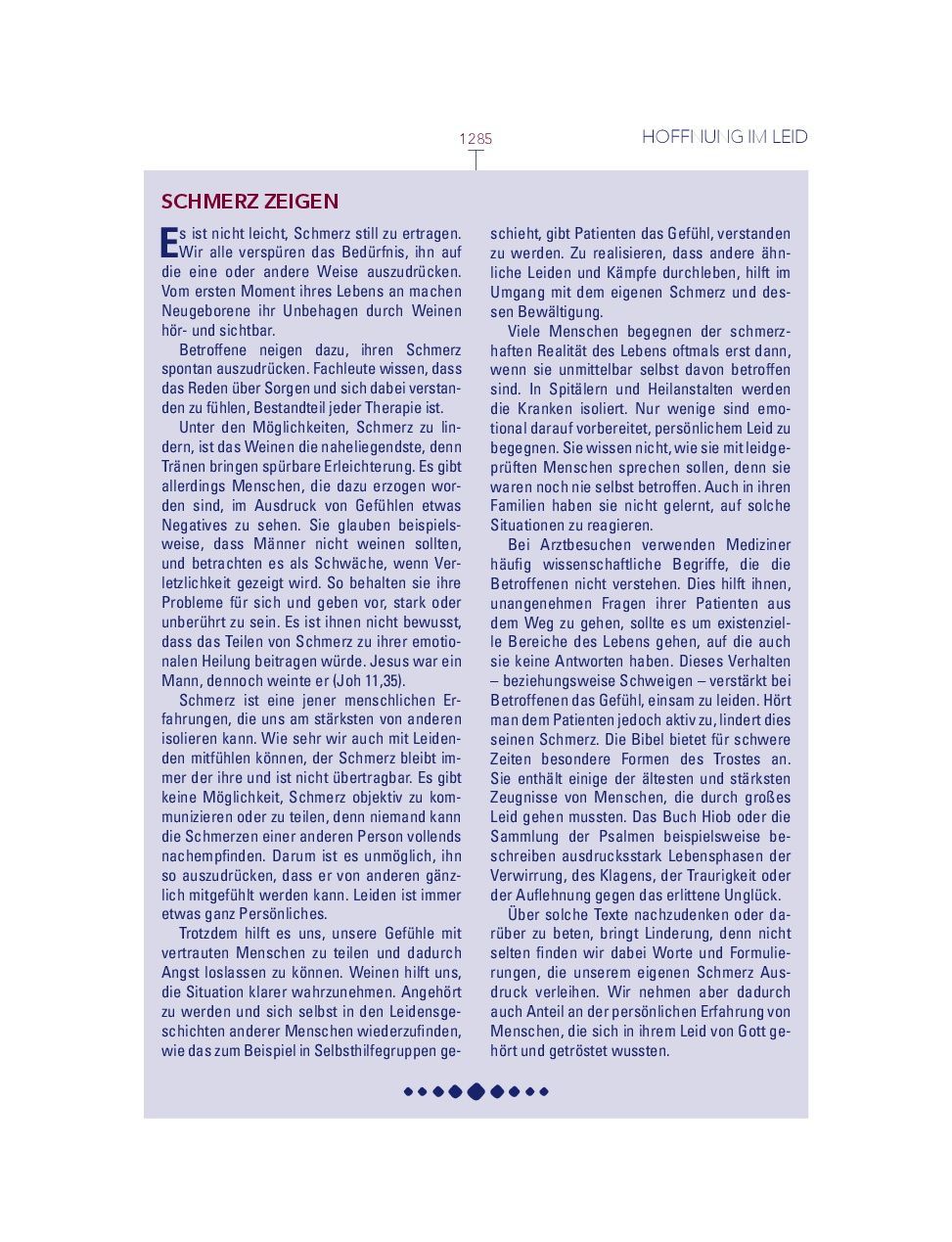 Advent-Verlag Schweiz-Bibel, Neues Leben, HOPE BIBEL, Standard, rot-weiss-blau_2412635_