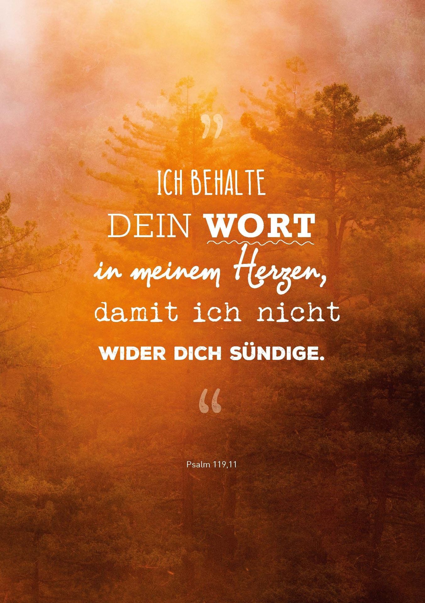 Advent-Verlag Schweiz-My Life Notes_2411074_