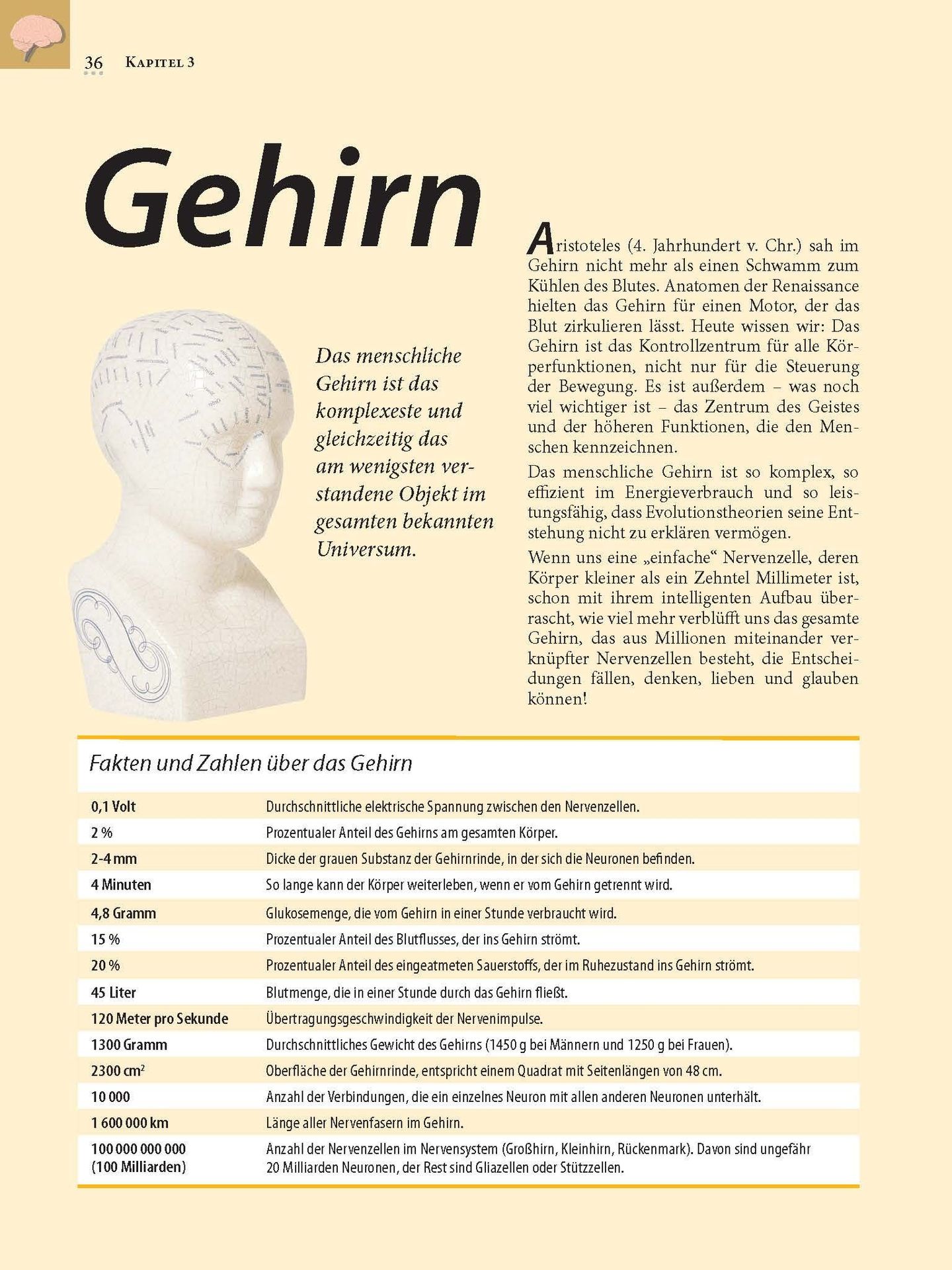 Advent-Verlag Schweiz-Heilkräfte für den Körper_2210178_