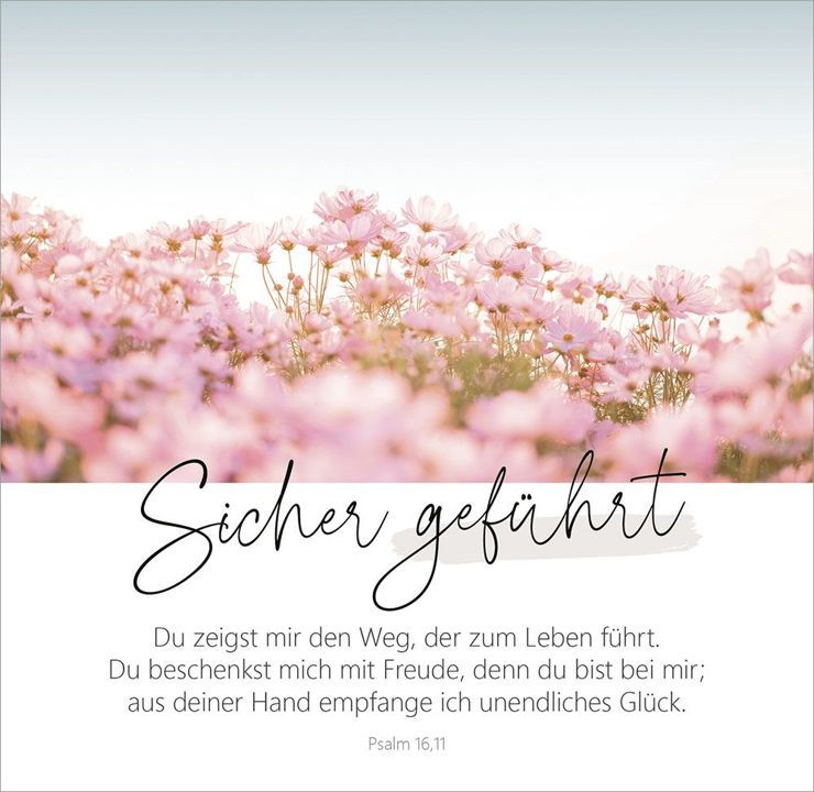 Gerth Medien-Wunderbar gemacht - Aufstellbuch_2942769_