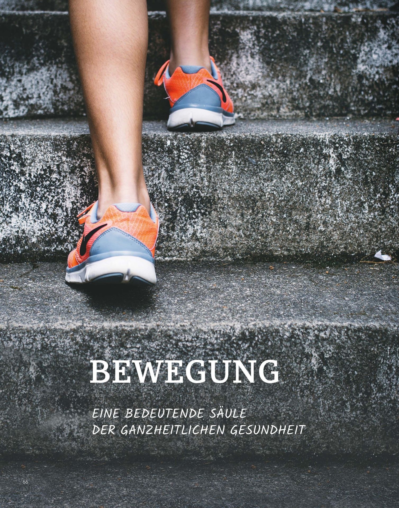 Advent-Verlag Schweiz-(ein)blick: Gesundheit - mehr als ein Hype_1411487_13 Advent-Verlag Schweiz-(ein)blick: Gesundheit - mehr als ein Hype_1411487_