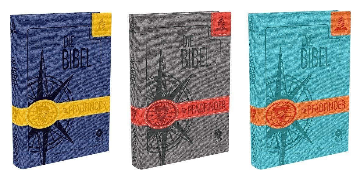Editorial Safeliz S.L.-Bibel, Neues Leben, Pfadfinder, Taschen, pink-gelb_2422596_