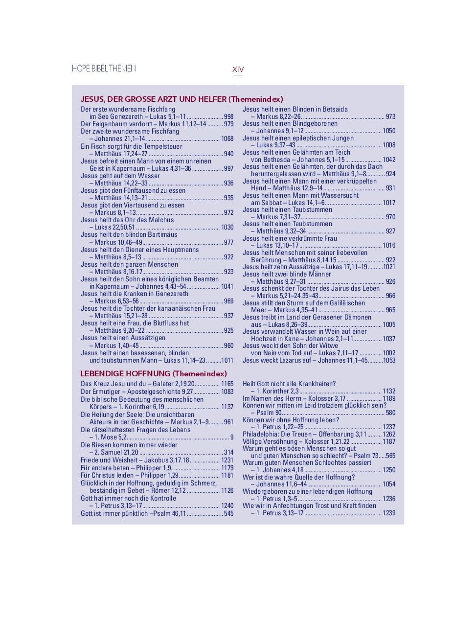 Advent-Verlag Schweiz-Bibel, Neues Leben, HOPE BIBEL, Standard, rot-weiss-blau_2412635_7 Advent-Verlag Schweiz-Bibel, Neues Leben, HOPE BIBEL, Standard, rot-weiss-blau_2412635_
