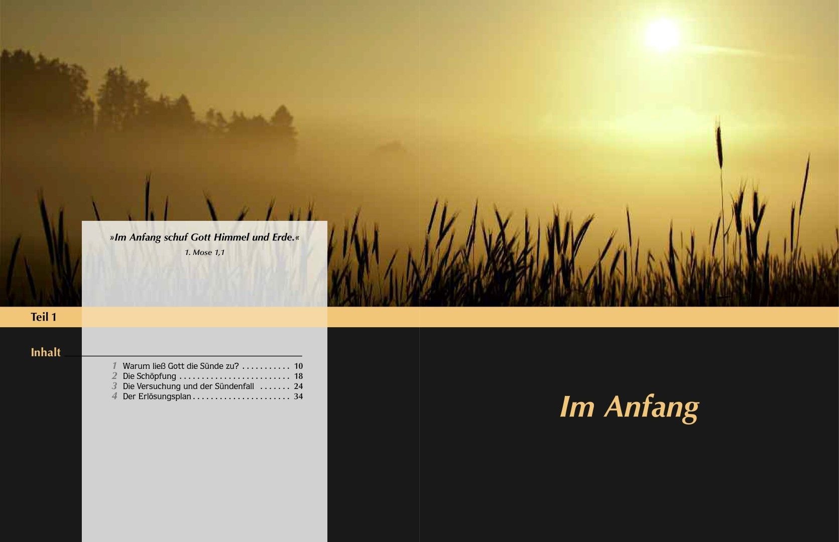 Advent-Verlag Schweiz-E-Serie: Die Geschichte der Hoffnung, Premium_2210113_