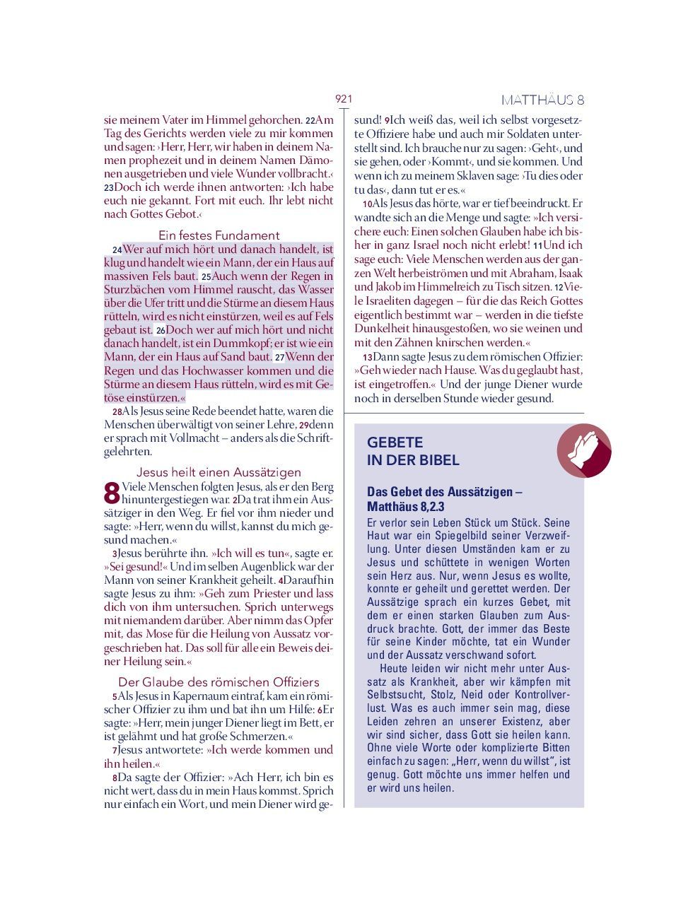 Advent-Verlag Schweiz-Bibel, Neues Leben, HOPE BIBEL, Standard, rot-weiss-blau_2412635_