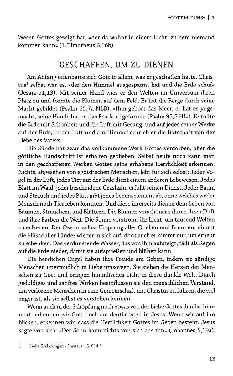 Advent-Verlag Schweiz-Der Sieg der Liebe, Softcover_2410832_6 Advent-Verlag Schweiz-Der Sieg der Liebe, Softcover_2410832_