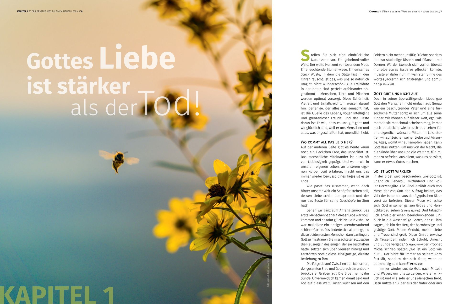 Advent-Verlag GmbH-Der bessere Weg, Magazin_2421114_