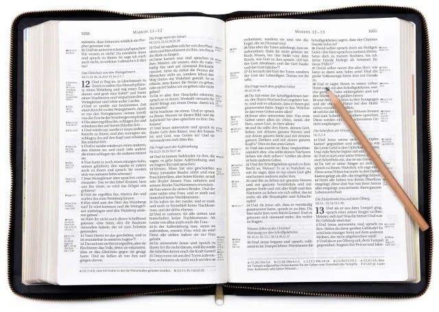 CLV Christliche Literatur-Verbreitung-Bibel, Schlachter 2000, Standard, Kalbsleder schwarz, Goldschnitt. Reissversch._2942203_