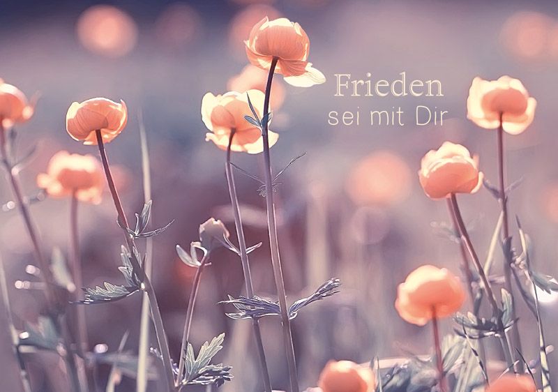 Frieden sei mit dir