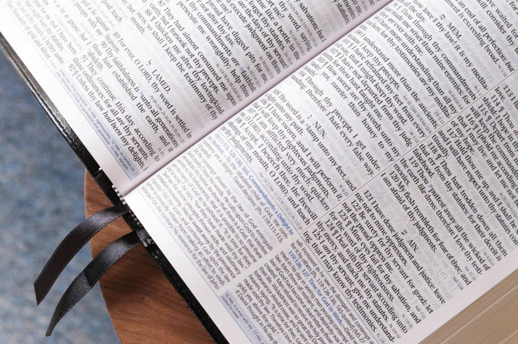 Oklahoma Academy Publishing-Bibel, Englisch, Mission Study Bible, KJV, Softleder blau-grau (Sapphire)_2541623_