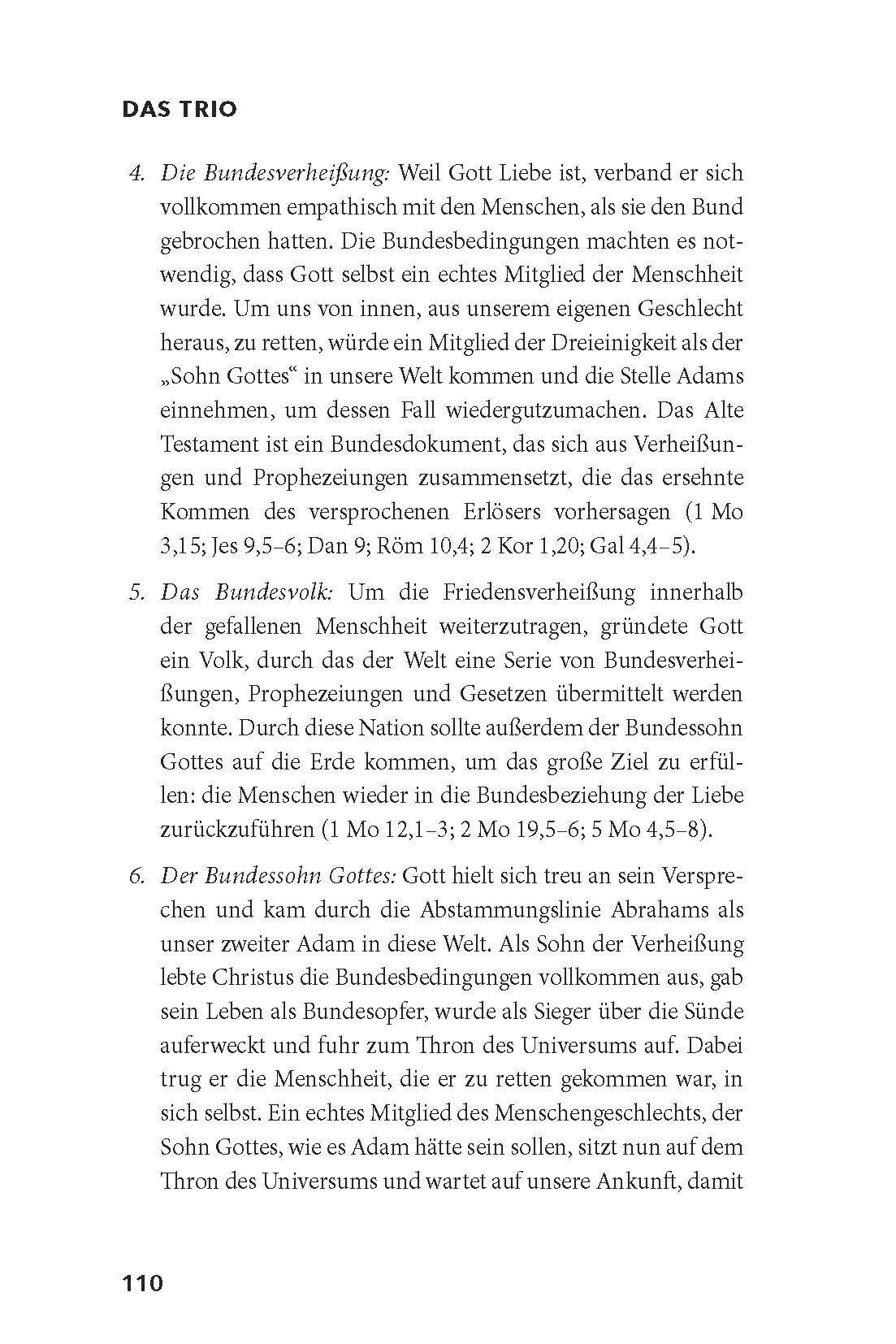 Advent-Verlag GmbH-Das Trio_2422199_17 Advent-Verlag GmbH-Das Trio_2422199_