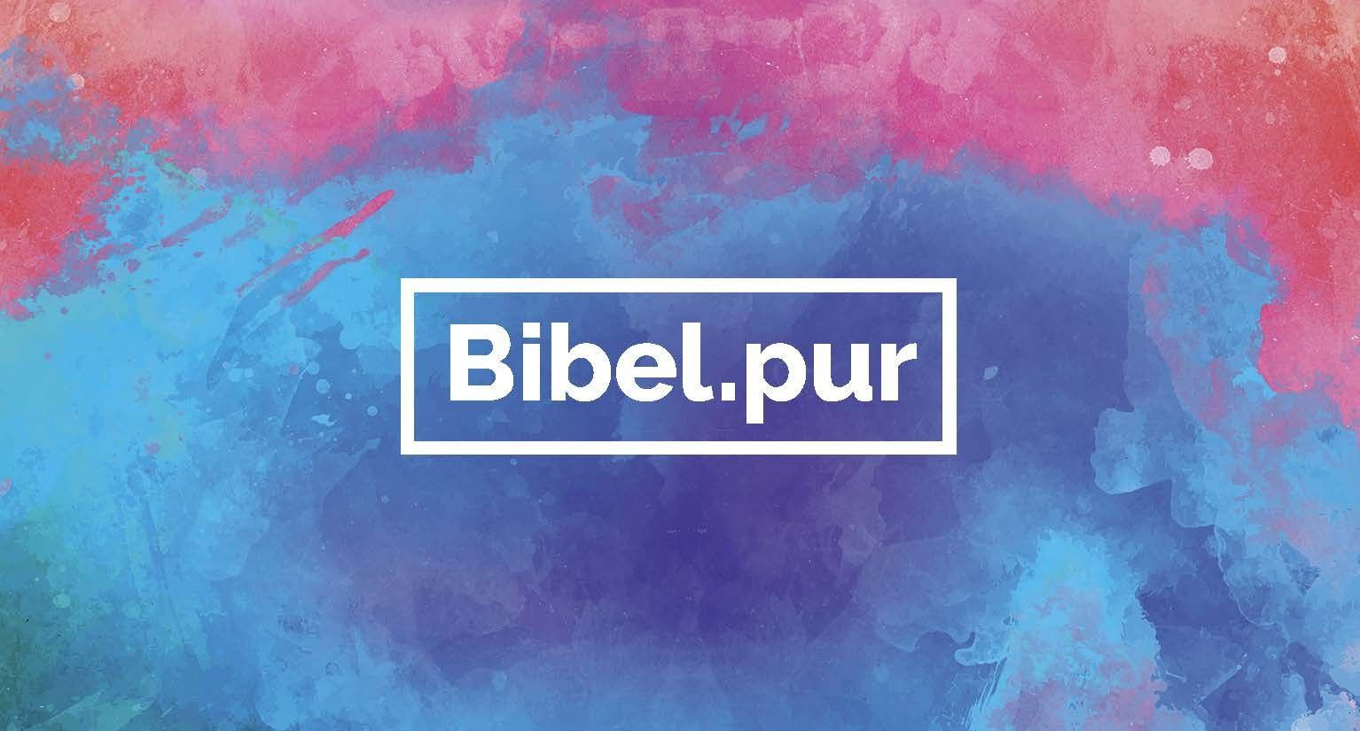 Advent-Verlag Schweiz-Bibel.pur, Kartenset_4941078_