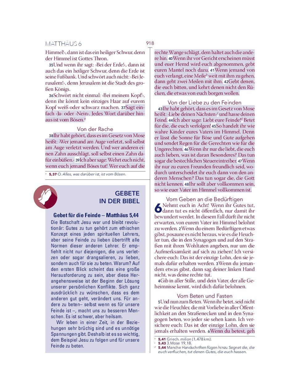 Advent-Verlag Schweiz-Bibel, Neues Leben, HOPE BIBEL, Standard, rot-weiss-blau_2412635_