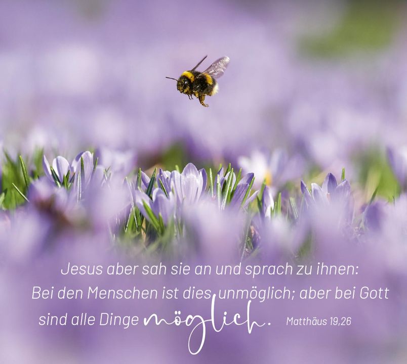 Bolanz Verlag-Geborgen in Gottes Hand - Aufstellbuch_2943045_